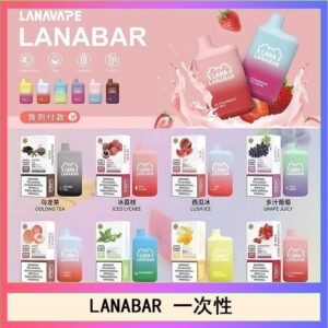 LANA BAR可充电一次性電子煙霧化5000口(3.0%)